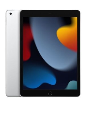 Apple IPad 10.2 cala Wi-Fi 256GB - Srebrny