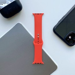 TECH-PROTECT Iconband Pasek do Apple Watch 4 / 5 / 6 / 7 / 8 / 9 / SE (38 / 40 / 41 mm) Red