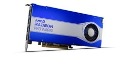 Karta graficzna AMD Radeon W6600