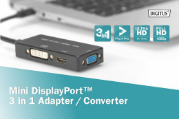 Kabel adapter DIGITUS 3w1 mini DisplayPort 4K 30Hz/1080p 60Hz miniDP/HDMI(UHD)+DVI-I+VGA(FHD) M/Ż 0,2m
