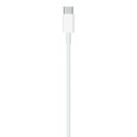 Kabel Apple MQGH2ZM/A blister 2m USB-C - Lightning